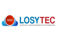 logo losytec